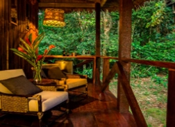 The Jungle Lodge - Refugio Amazonas