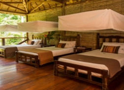The Jungle Lodge - Refugio Amazonas