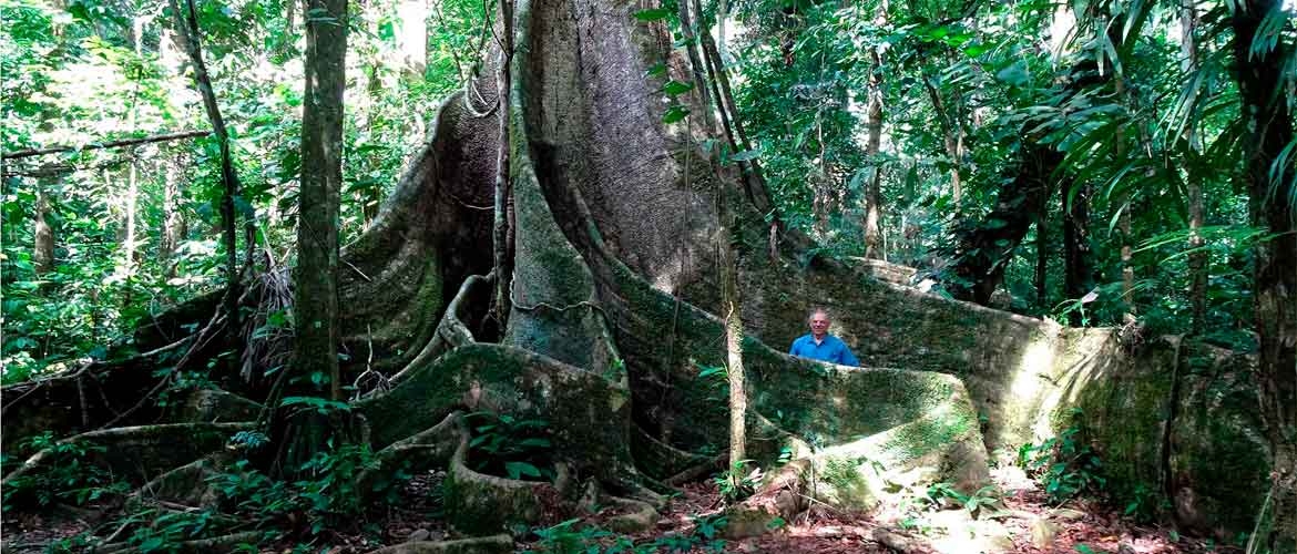 Posada Amazonas Private Tour 3 days with multiple Amazon Activities