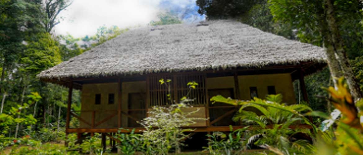 Amazon Villa Tours 3 days - Rainforest Experience
