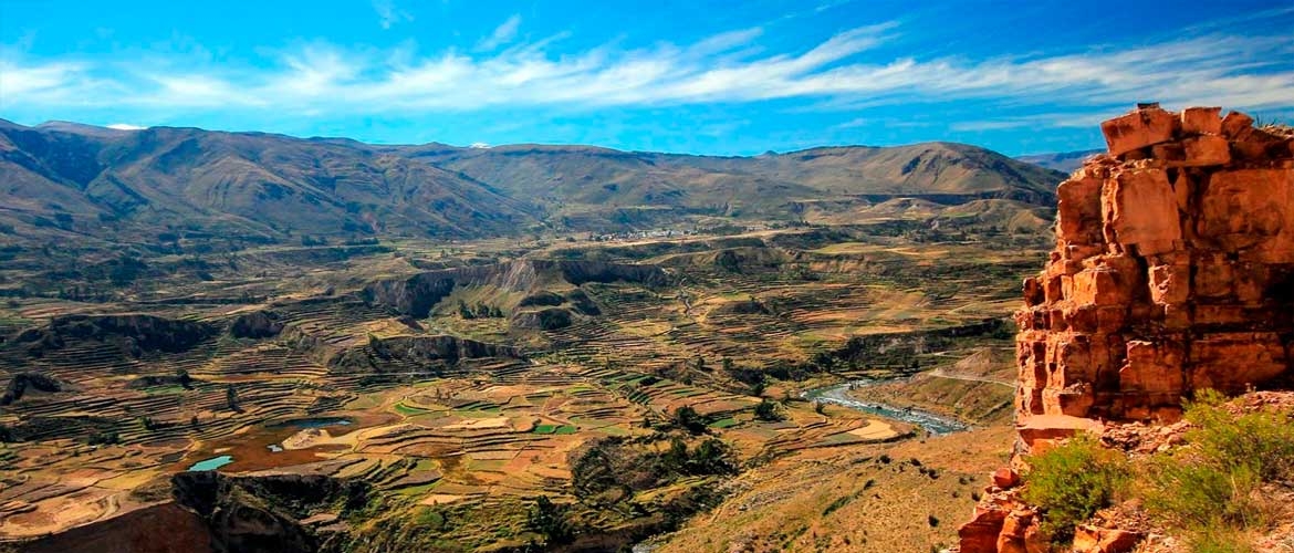 Enjoy Peru Tour 19 days | Lima, Paracas, Nazca, Cusco, Arequipa and Puno