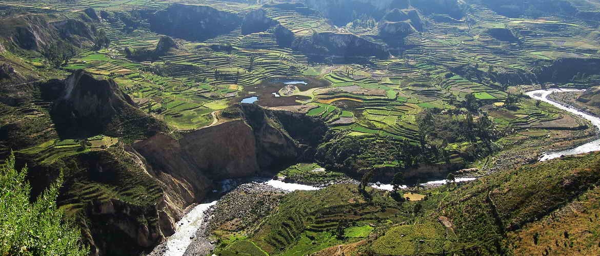 Arequipa Tour: Majes, Toro Muerto, Valle de los Volcanes anda Colca Canyon in 6 days