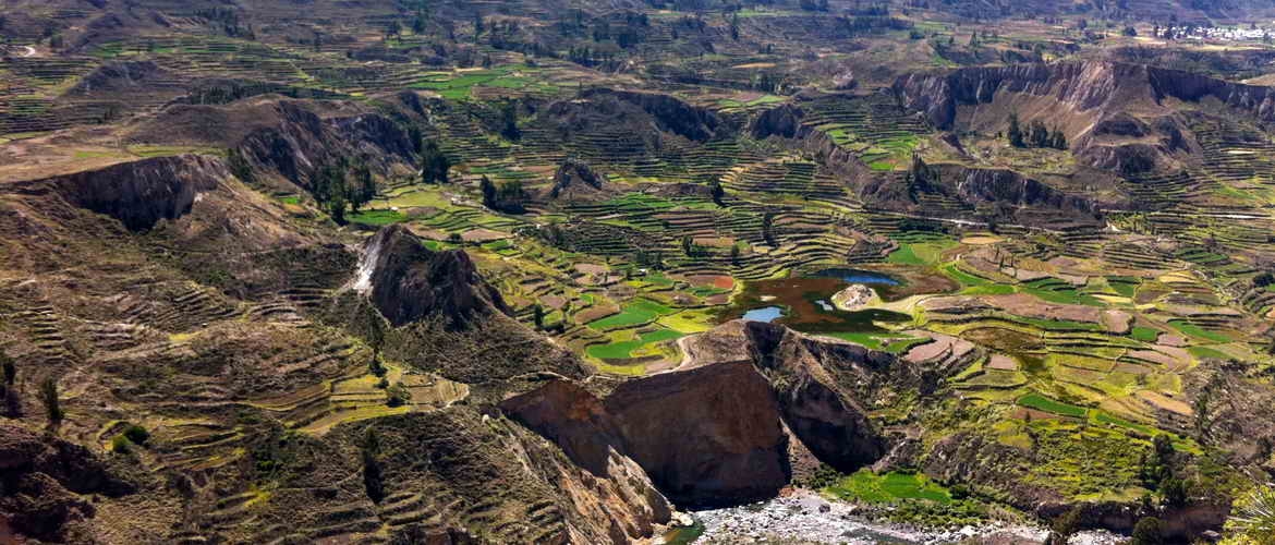 4 Days Private Tour in Arequipa, City Tour, Colca Canyon and Cruz del Condor