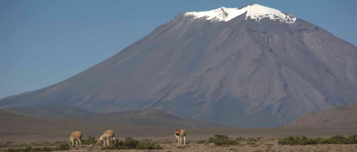 Trek to Misti Volcano in Arequipa, 2 day with best andean landscape