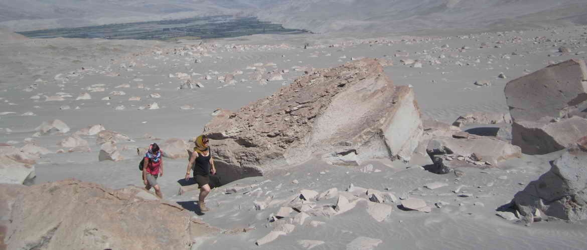 Arequipa Tour: Majes, Toro Muerto, Valle de los Volcanes anda Colca Canyon in 6 days