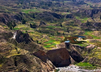 4 Days Private Tour in Arequipa, City Tour, Colca Canyon and Cruz del Condor